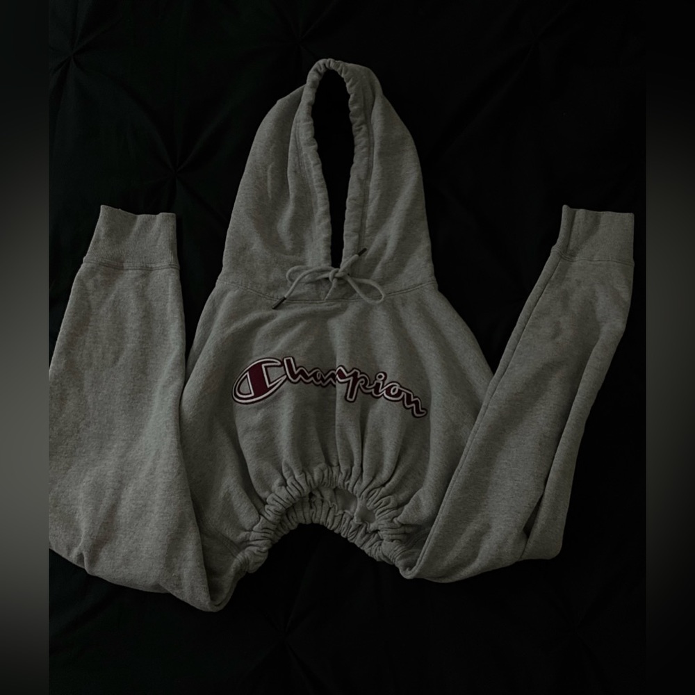RagzRevenge Champion cropped hoodie